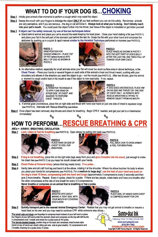 Chart to help when dog is chocking with dog cpr